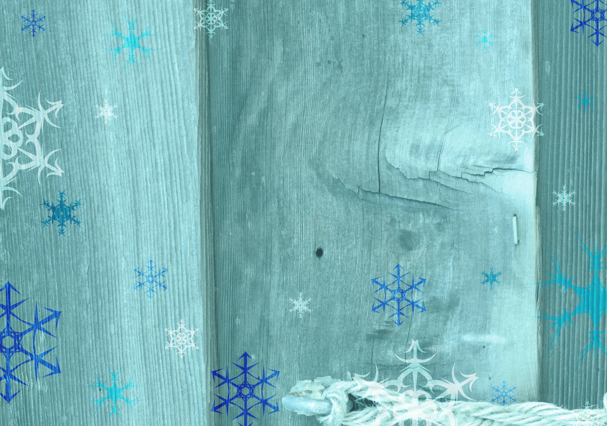 website winter cover.jpg