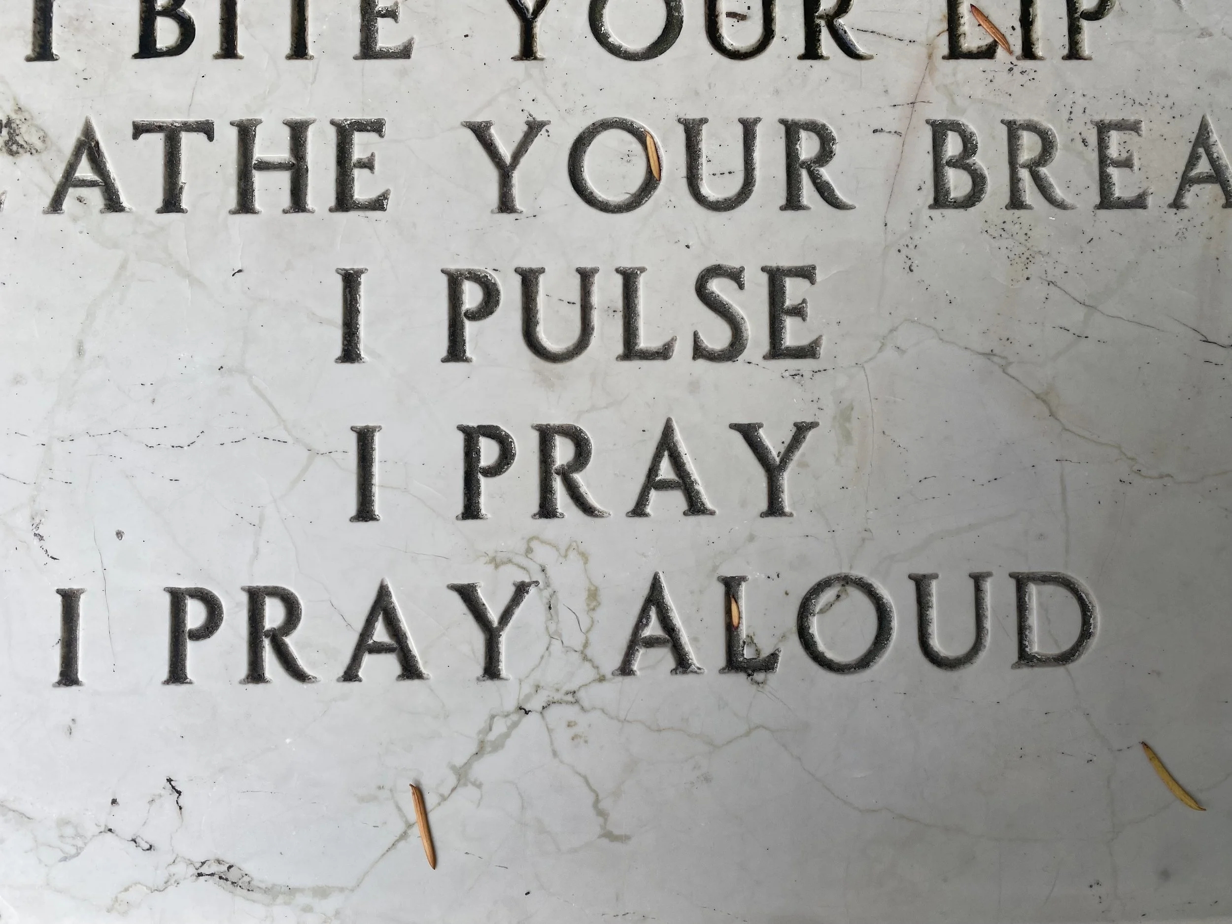 "i pulse i pray i pray aloud"