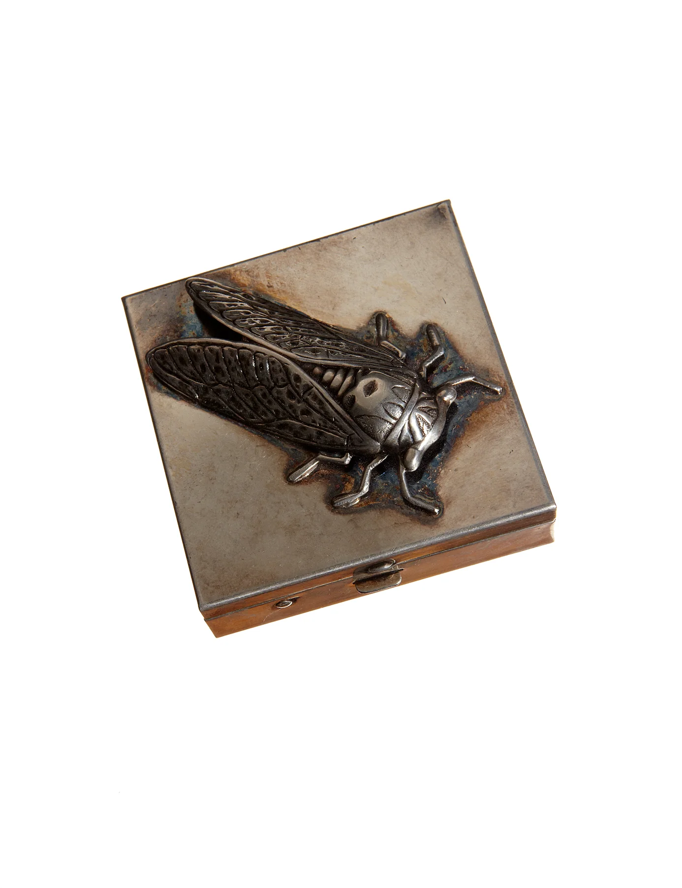 Cicada Stash Box