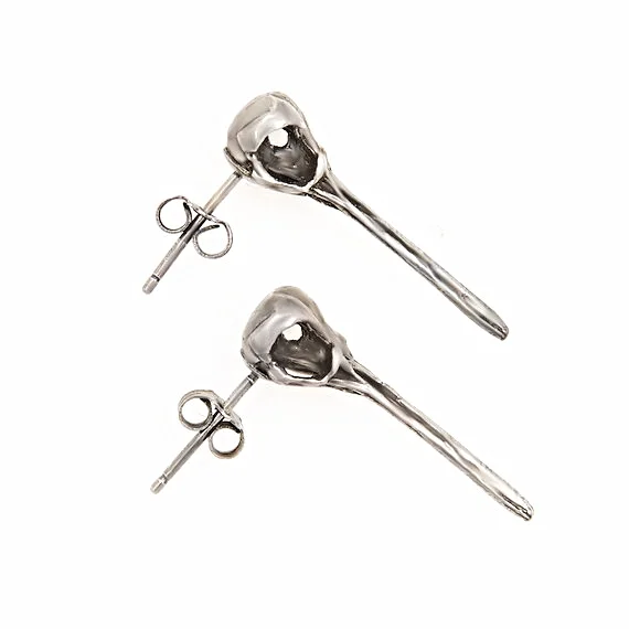 Hummingbird skull..jpg