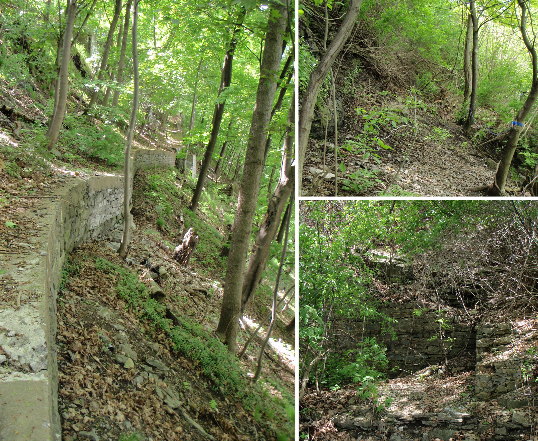 Site Slope Stabilization-01.jpg