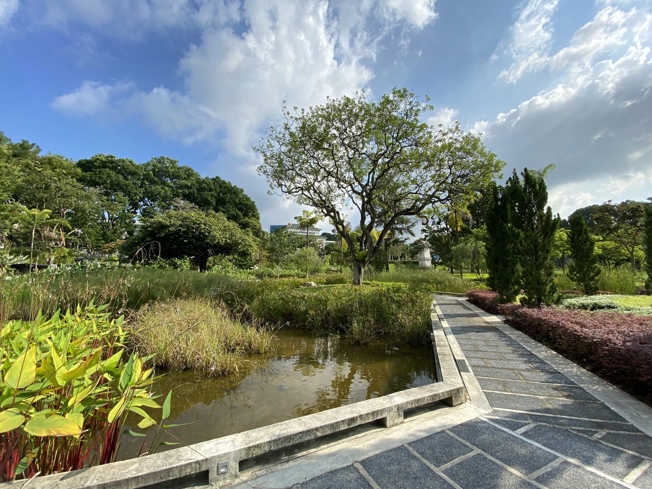 YUNNAN GARDEN 03.jpg
