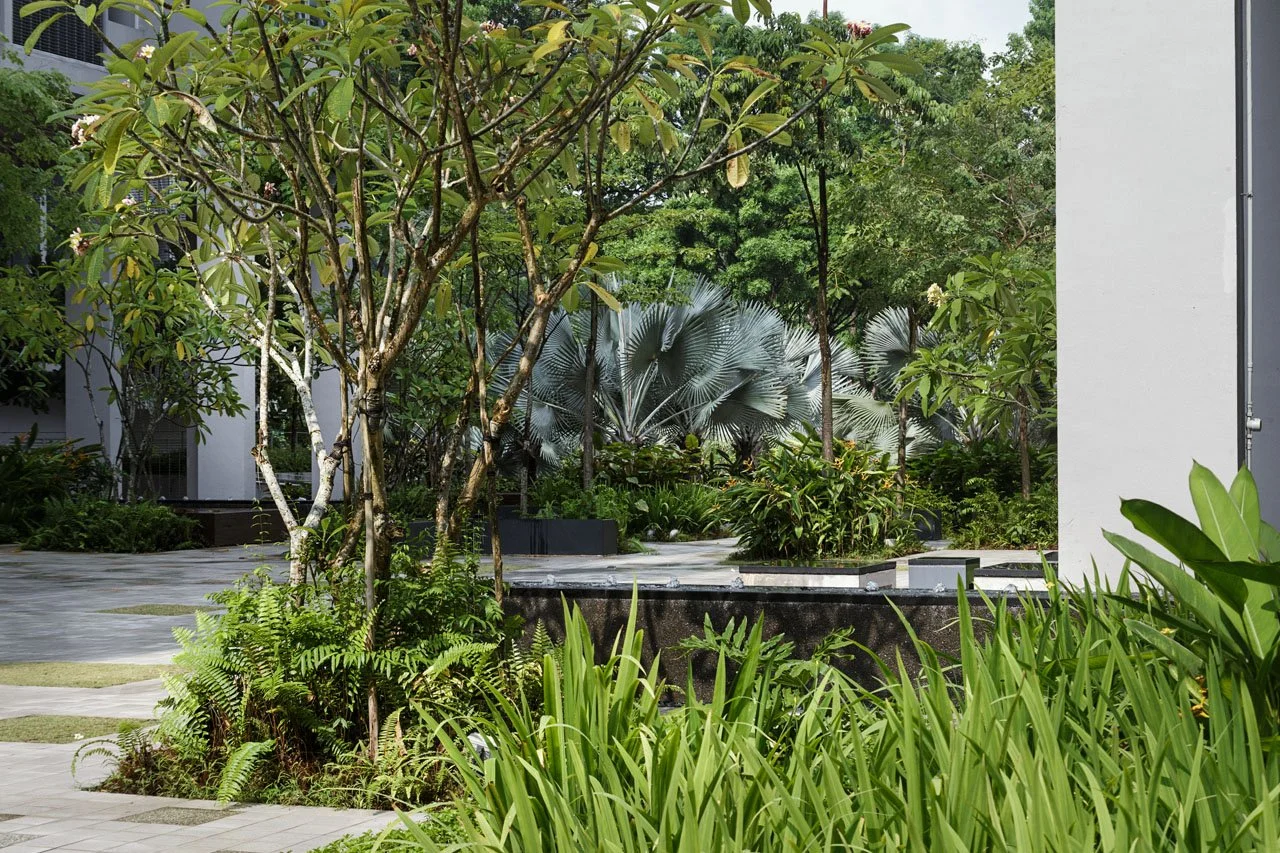 20180414 NTU_DX_3905.jpg