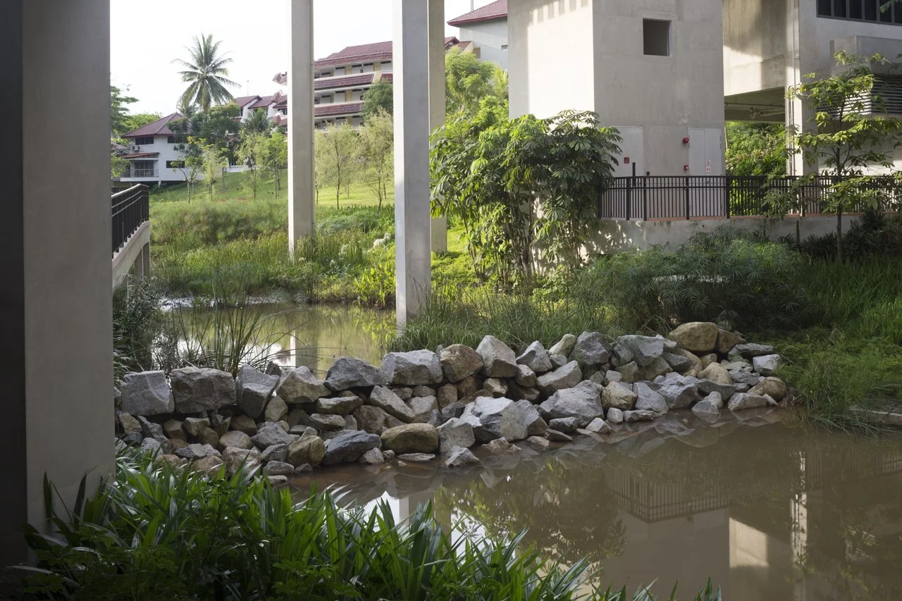 20150608_DX_1096.jpg