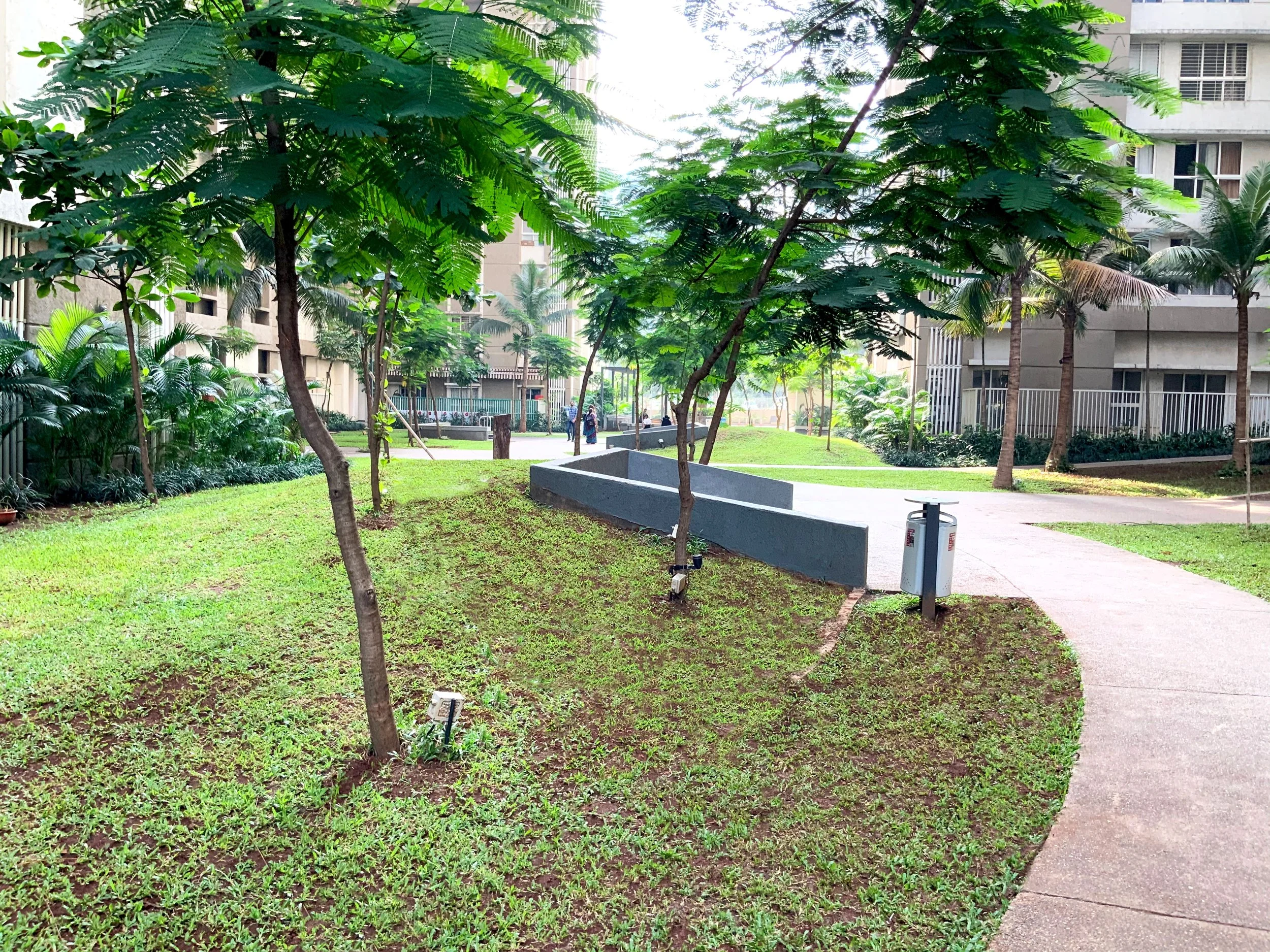 IMG_0406 edited grass.jpg