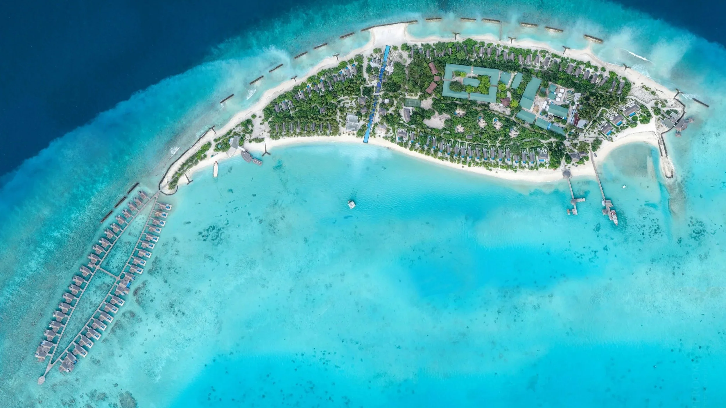 aerial-shot.jpg