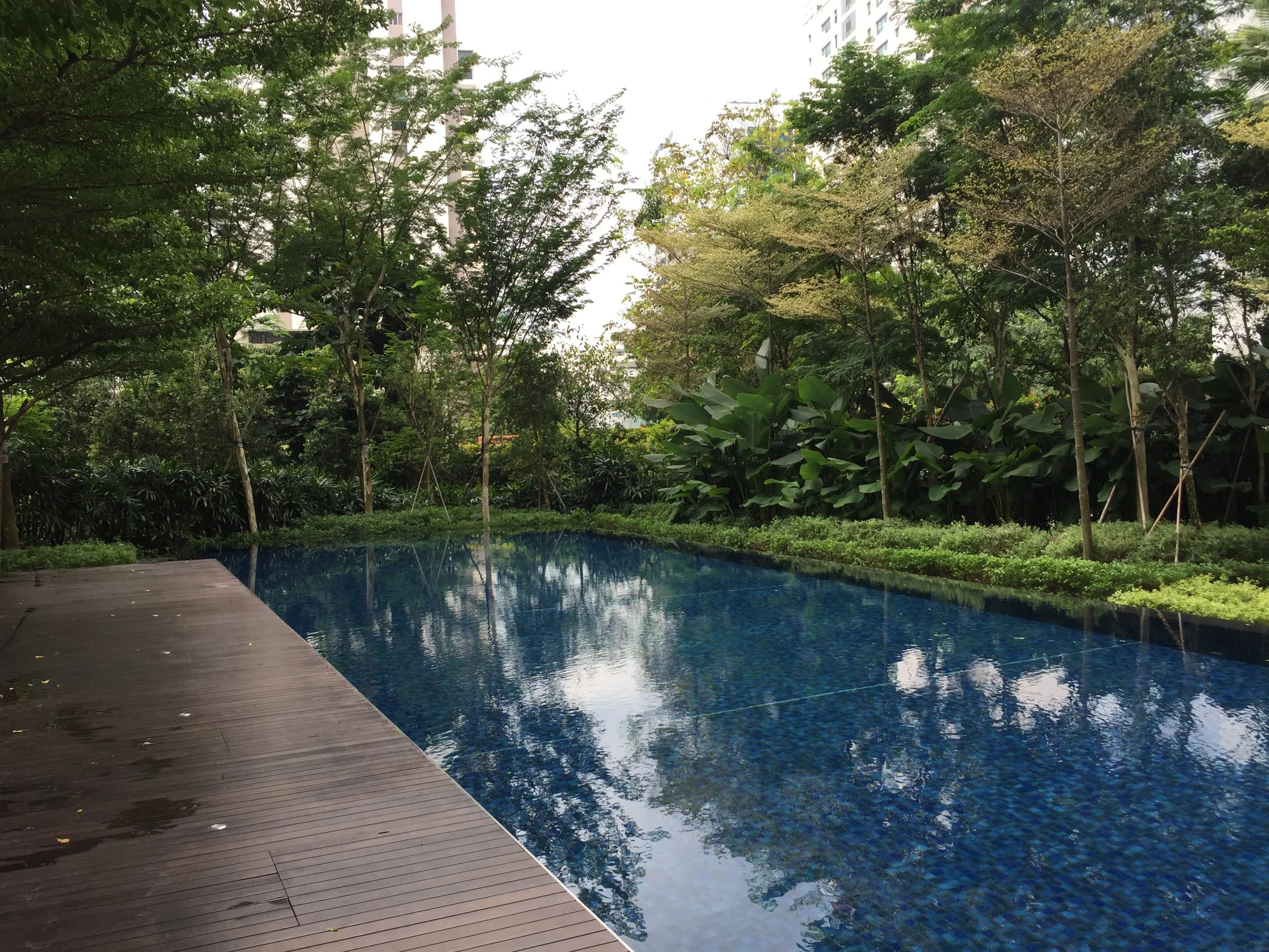 Copy of 3 Main lap pool IMG_1149.jpg