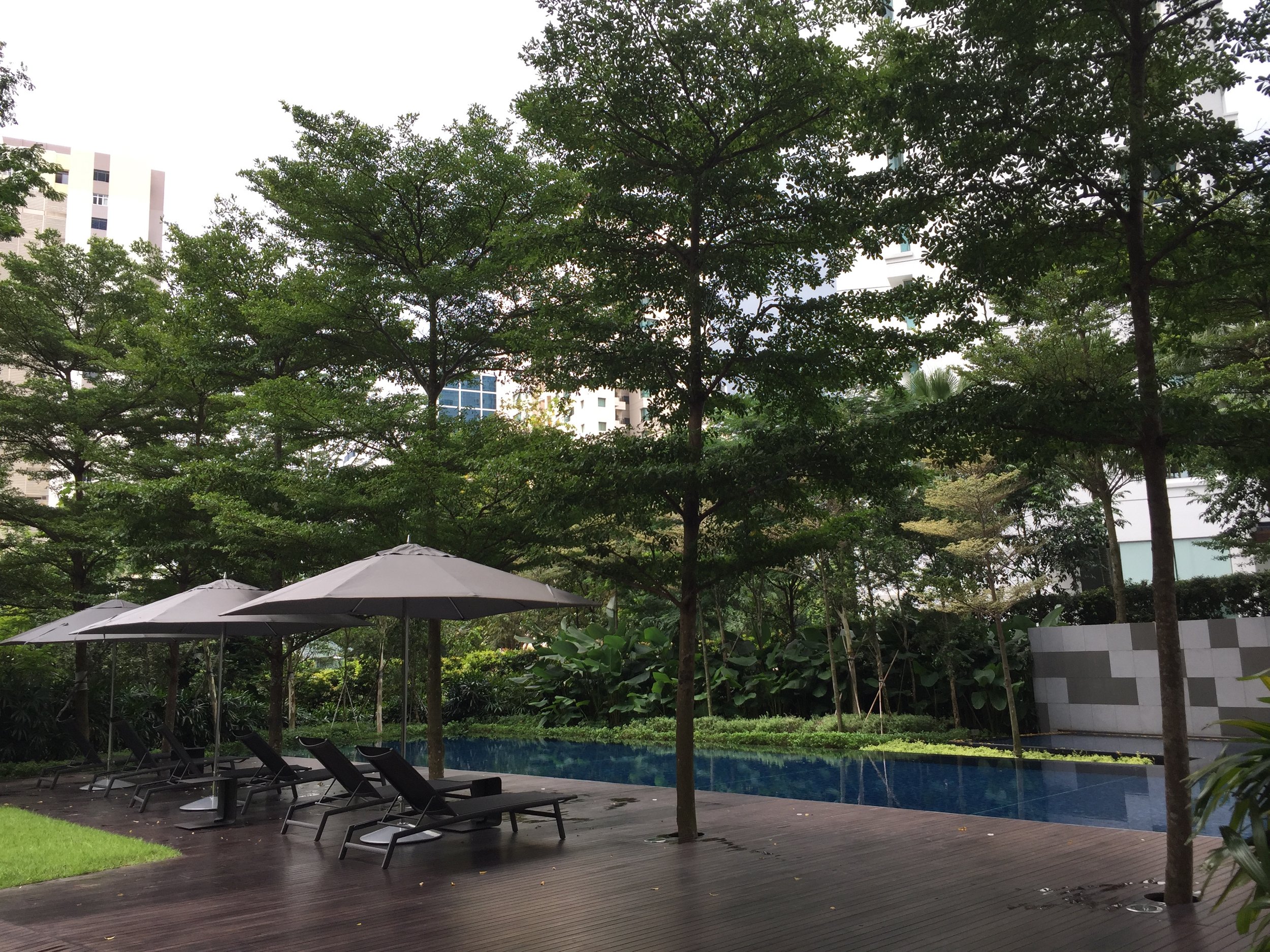 Copy of 6 Pool Deck IMG_1152.jpg