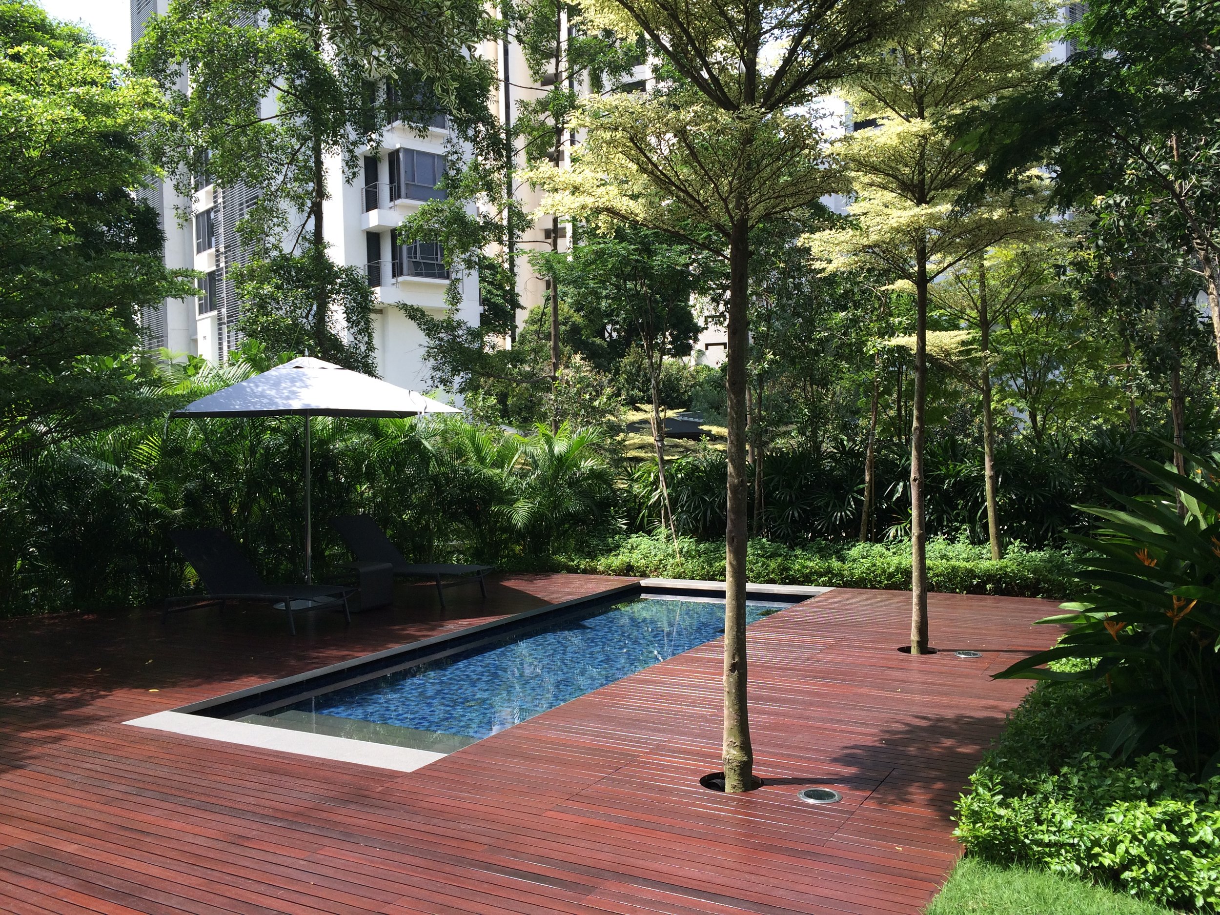 Copy of 11 Kids pool IMG_2675.jpg