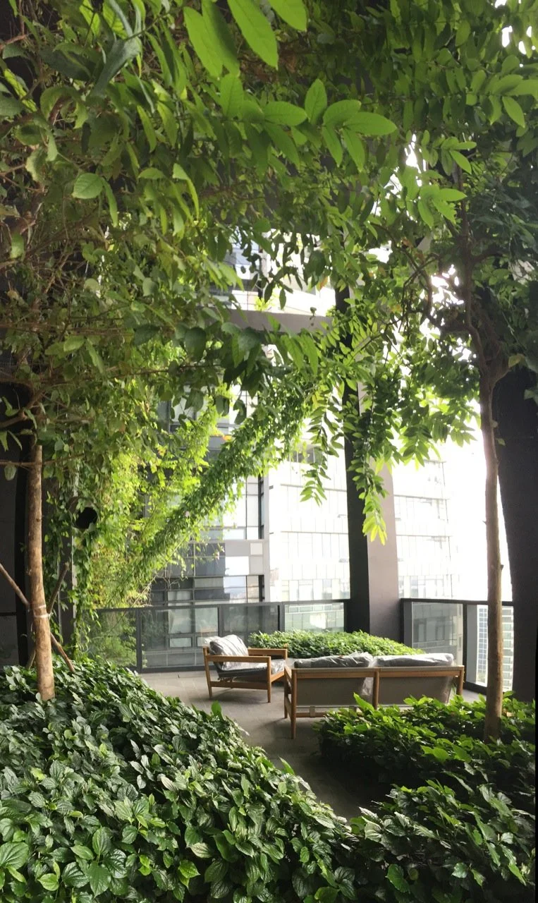 6 Sky terrace IMG_3028.jpg