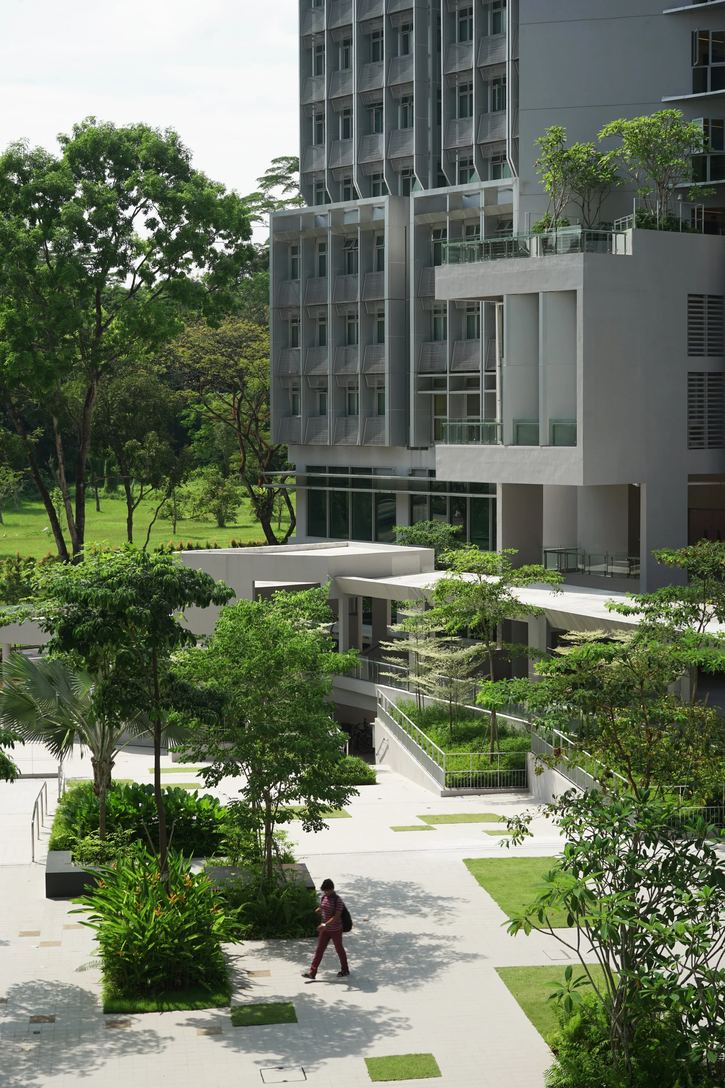 NTU N 07.jpg