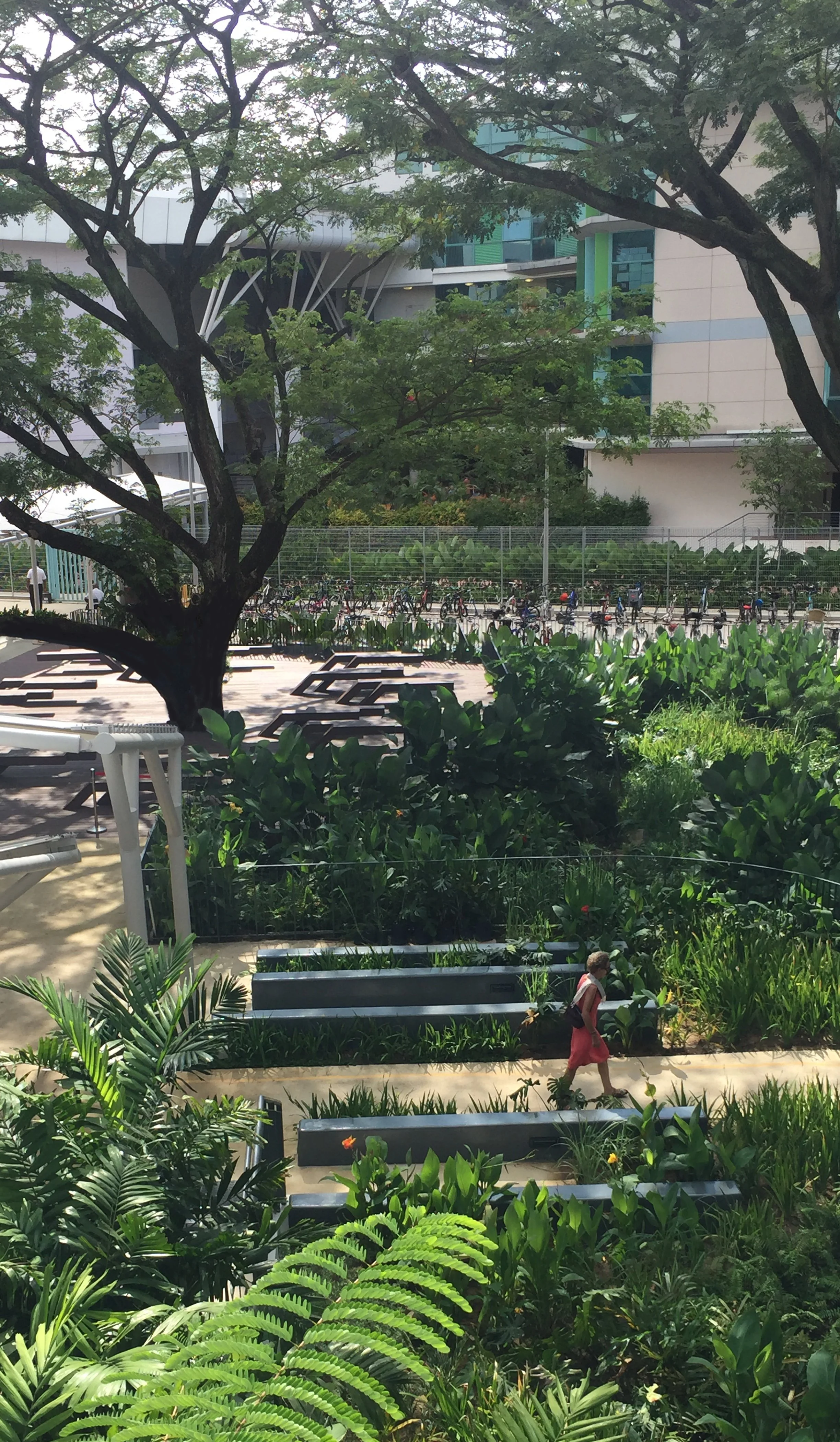 LFS Welcome Garden.jpg