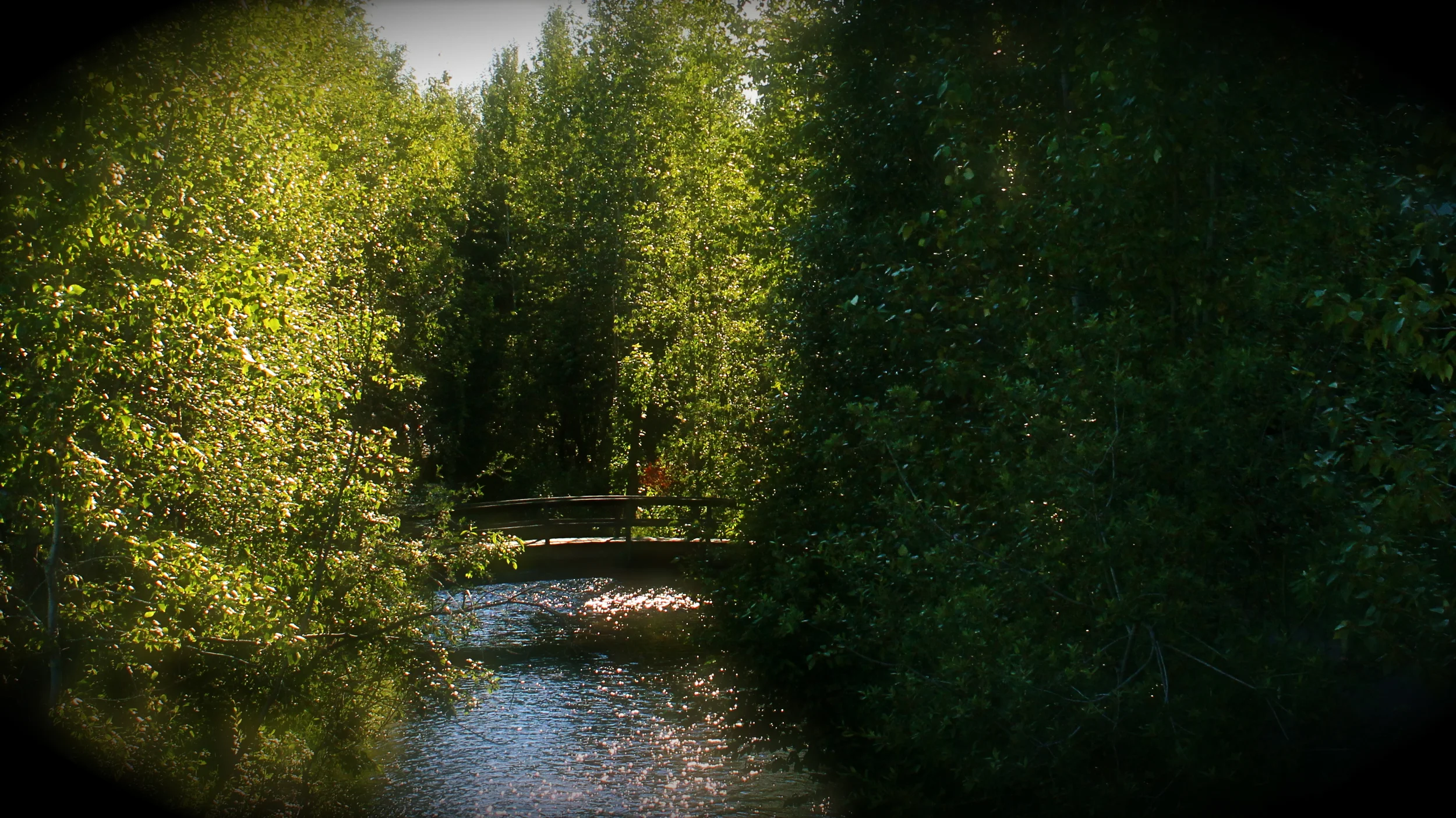 #26 - Anchorage Bridge