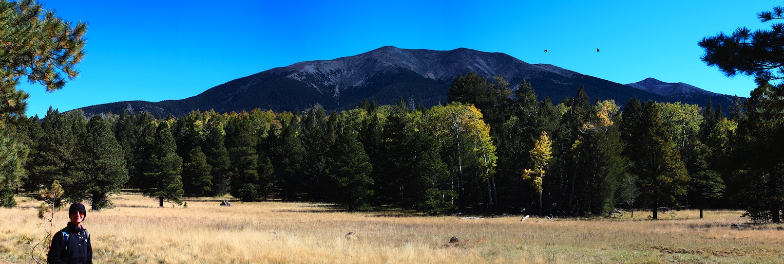 Aspen Range -- #51