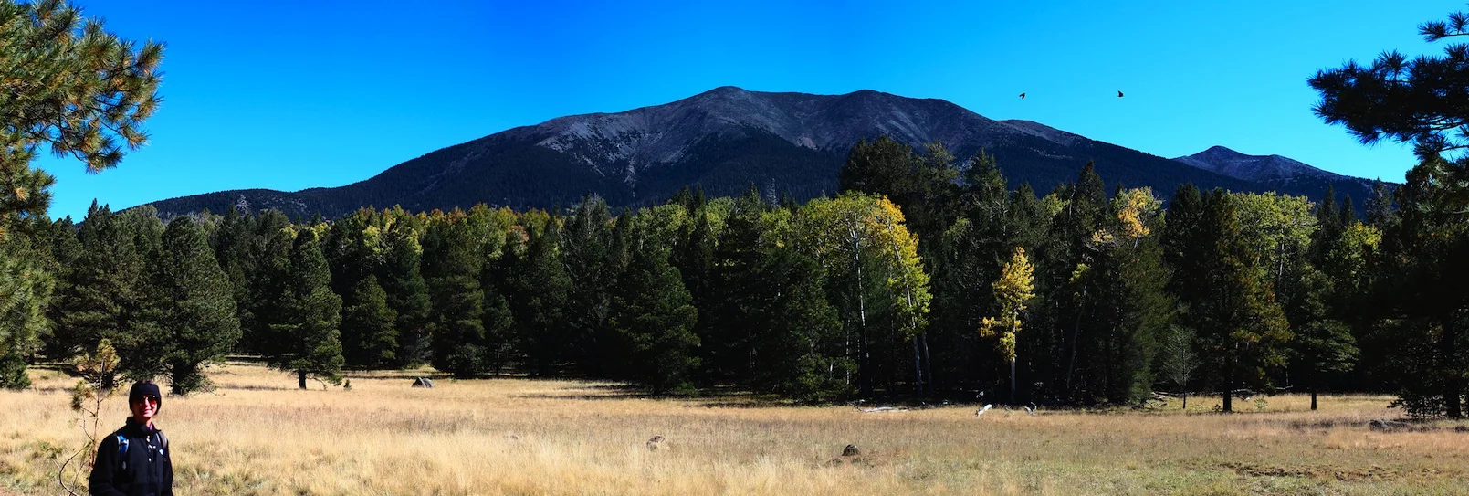Flagstaff_Pan_01_Small.jpg