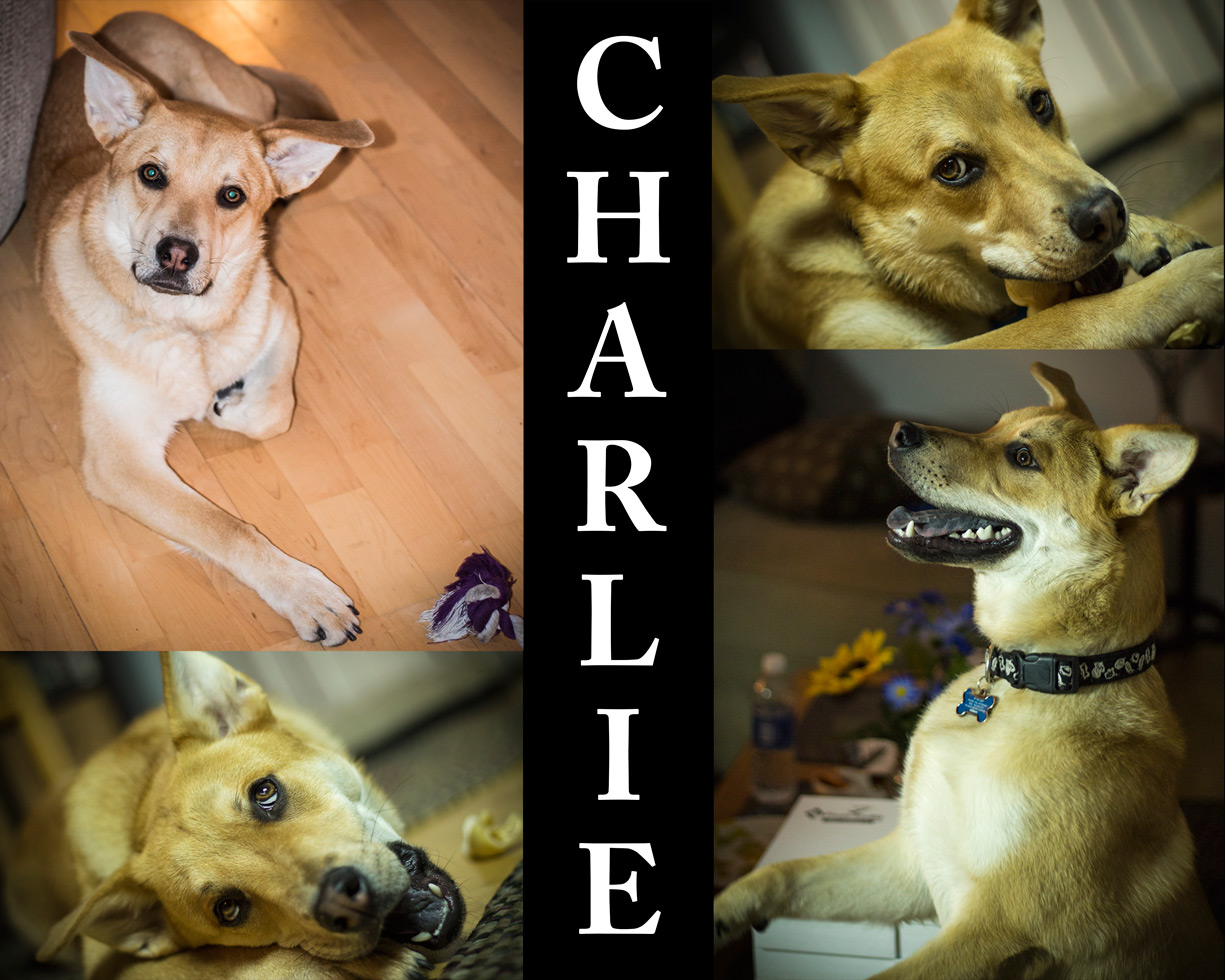 #87 - Chuck Collage