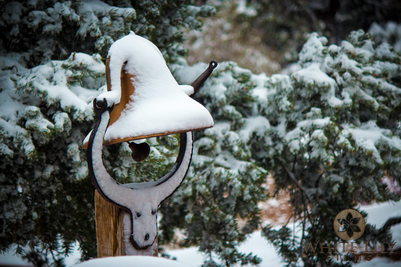 #92 - RockHaven Bell