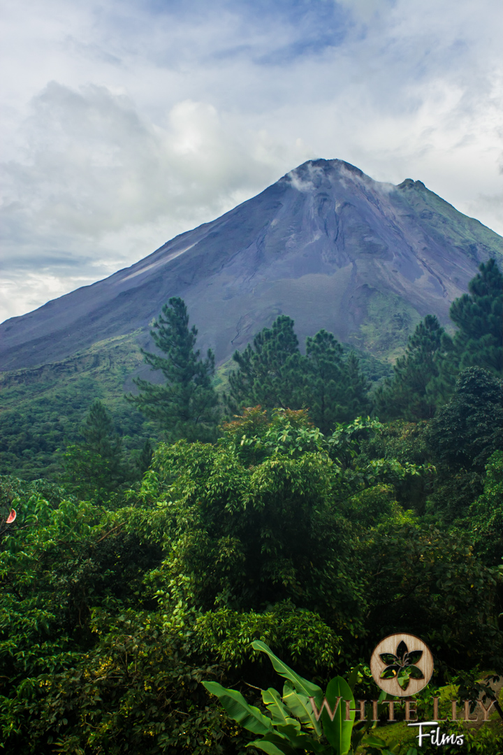 #102 - Active Arenal