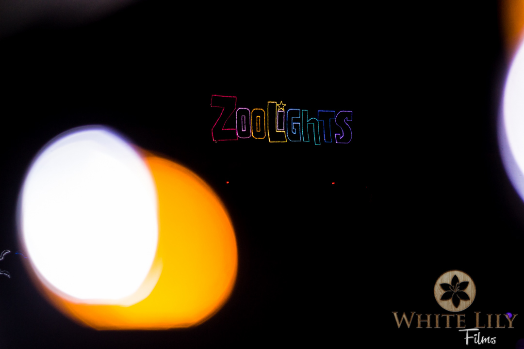 #108 - Yah! ZooLights!