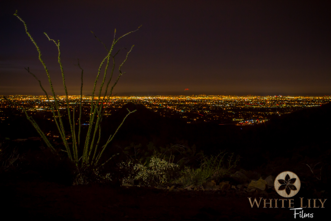 #120 - City at Daybreak