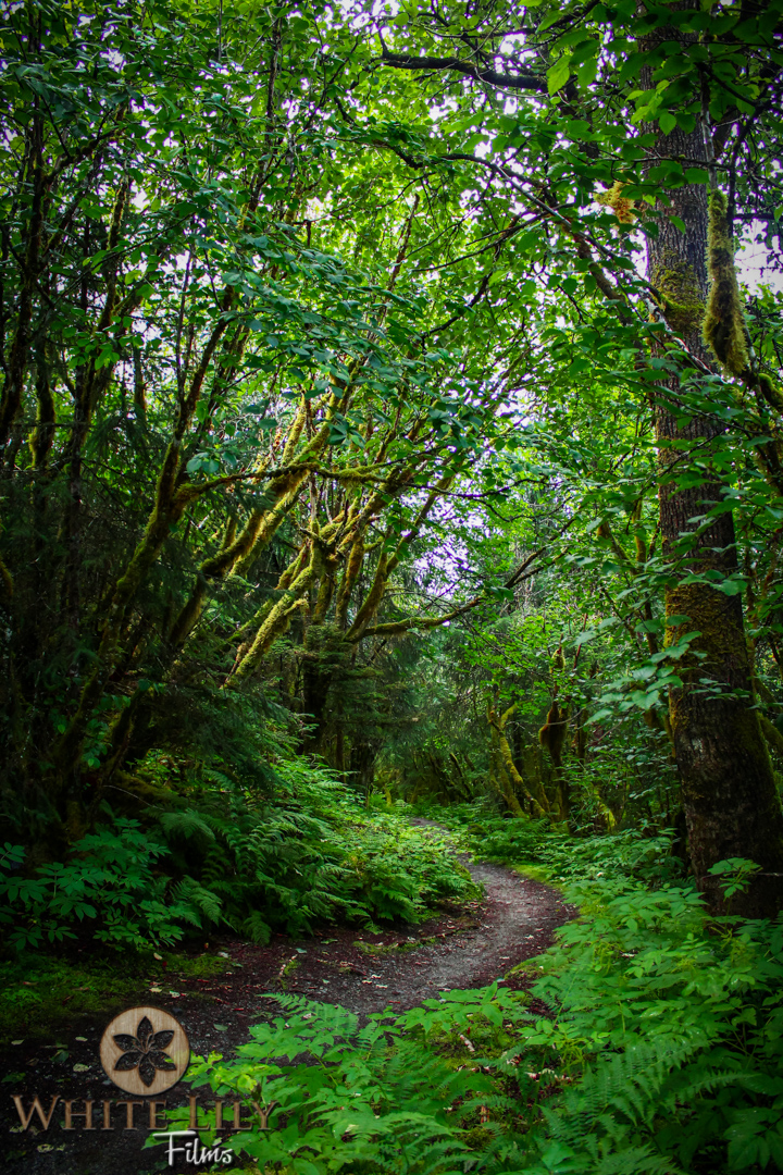 #123 - Greener Paths