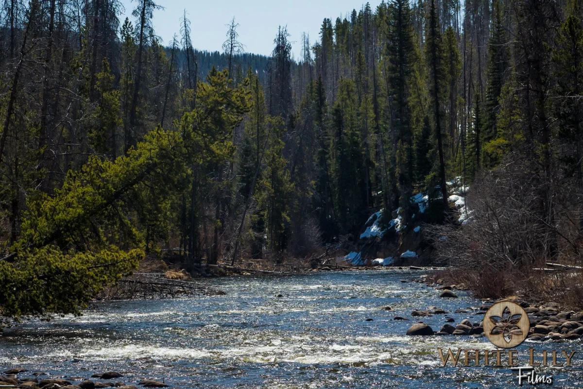 Web_4-32.jpg