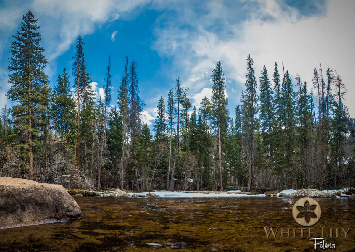 Web_4-73.jpg