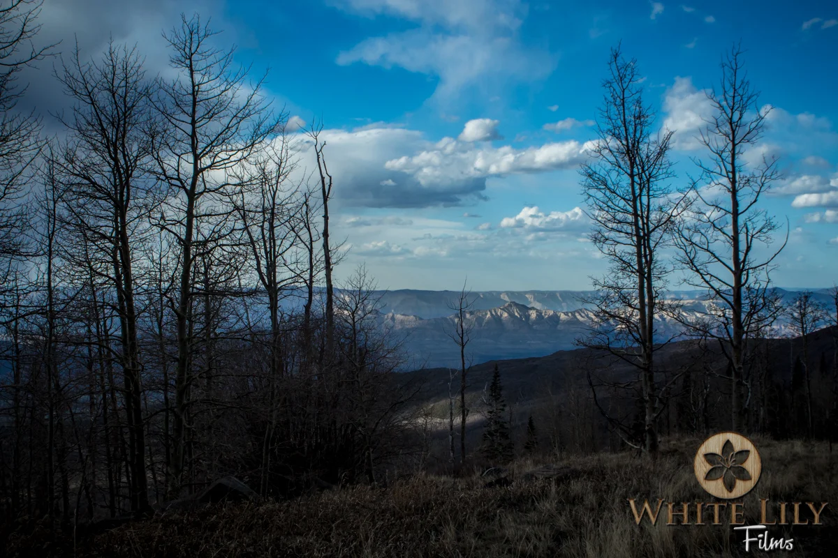 Web_4-116.jpg