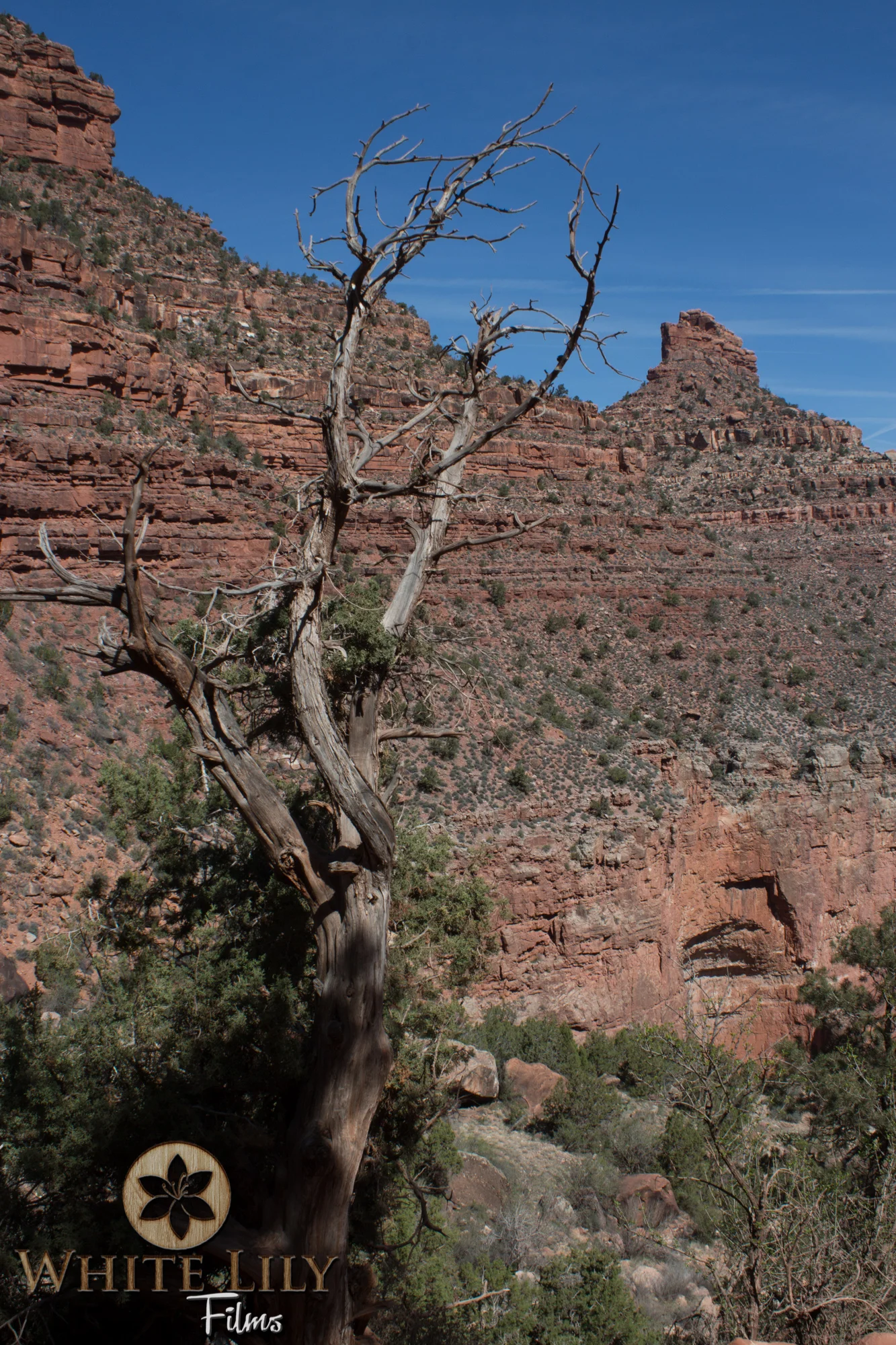 AZGolf_3.20_0027.jpg