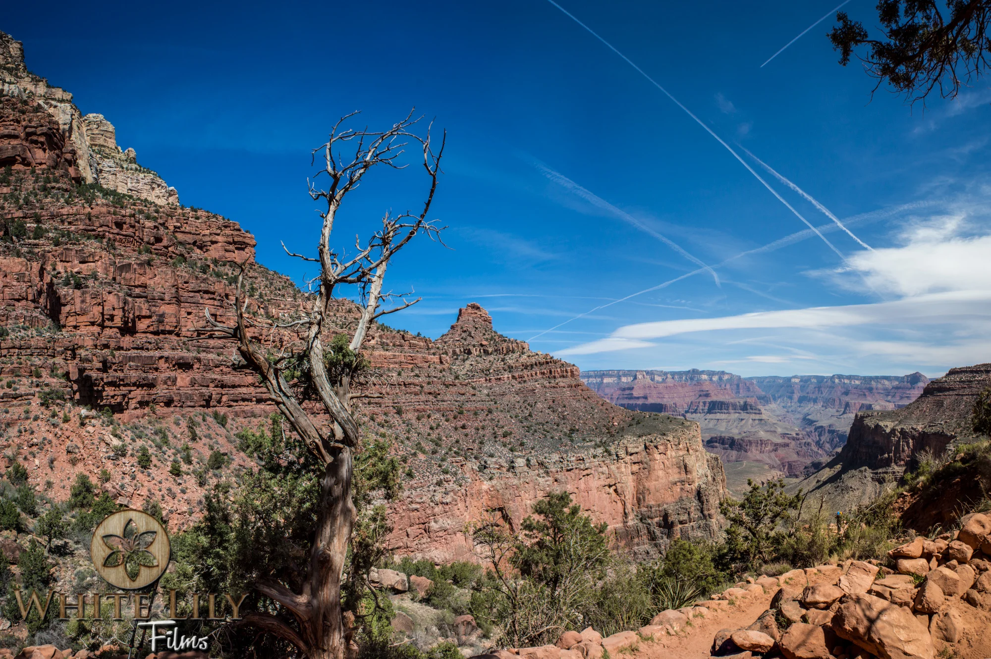 AZGolf_3.20_0017-Edit.jpg