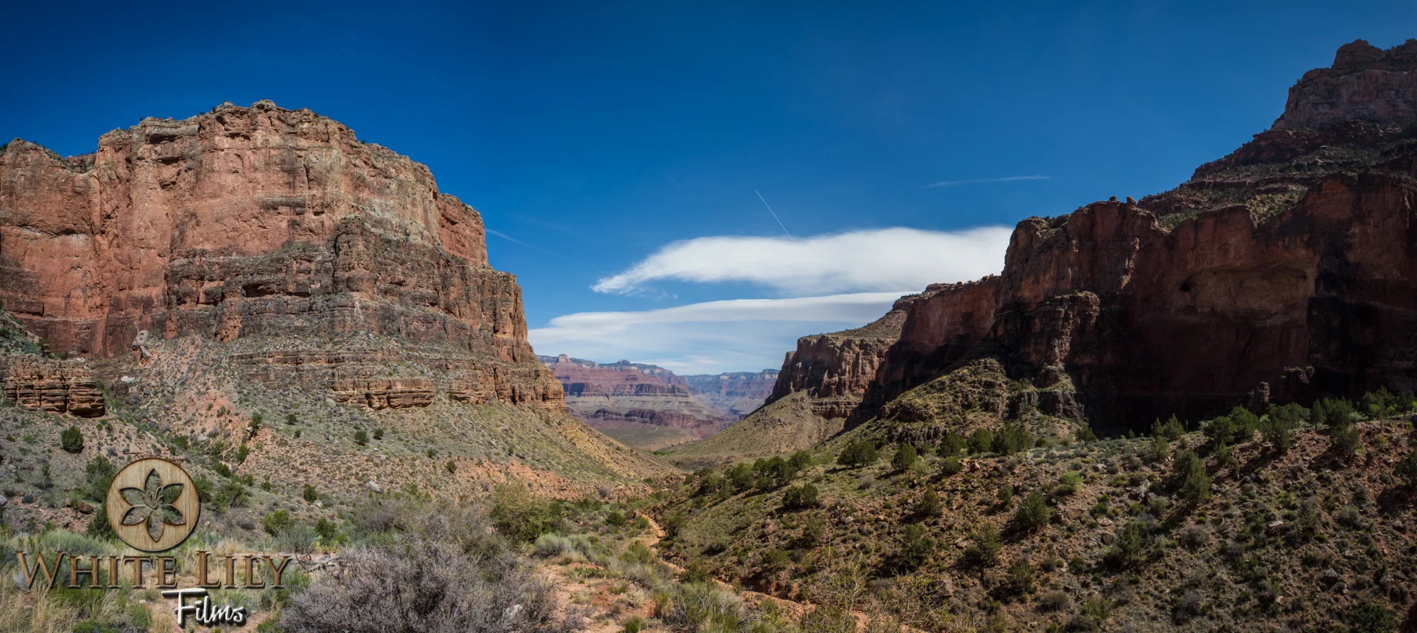 AZGolf_3.20_0029-Edit.jpg