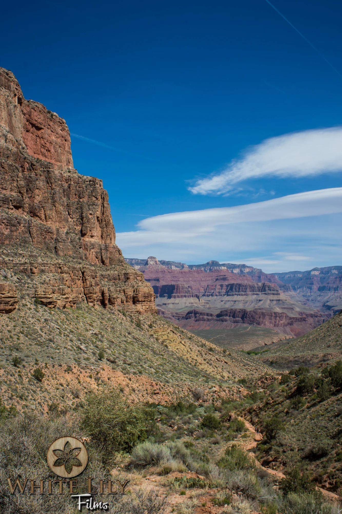 AZGolf_3.20_0036.jpg