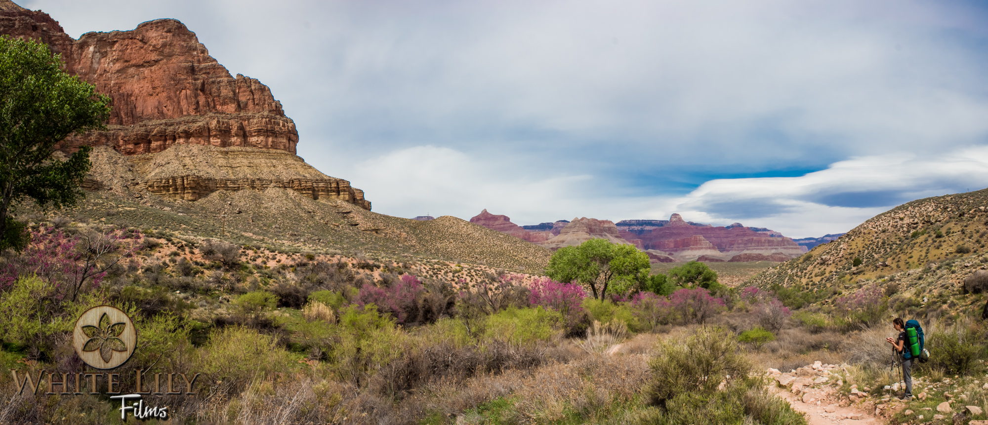 AZGolf_3.20_0087-Edit.jpg