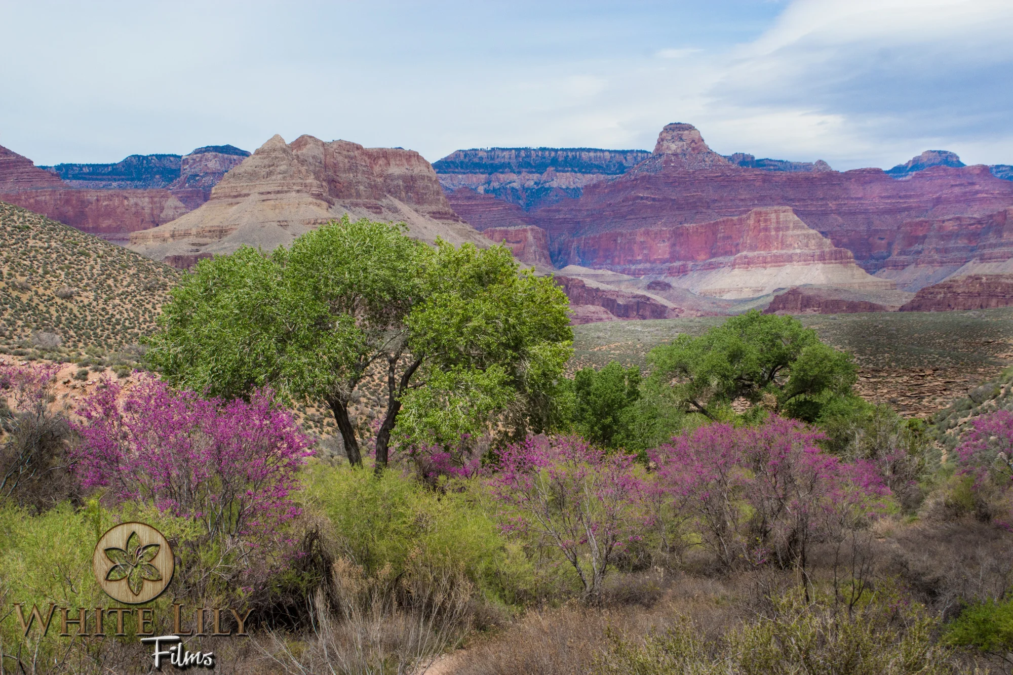 AZGolf_3.20_0097.jpg