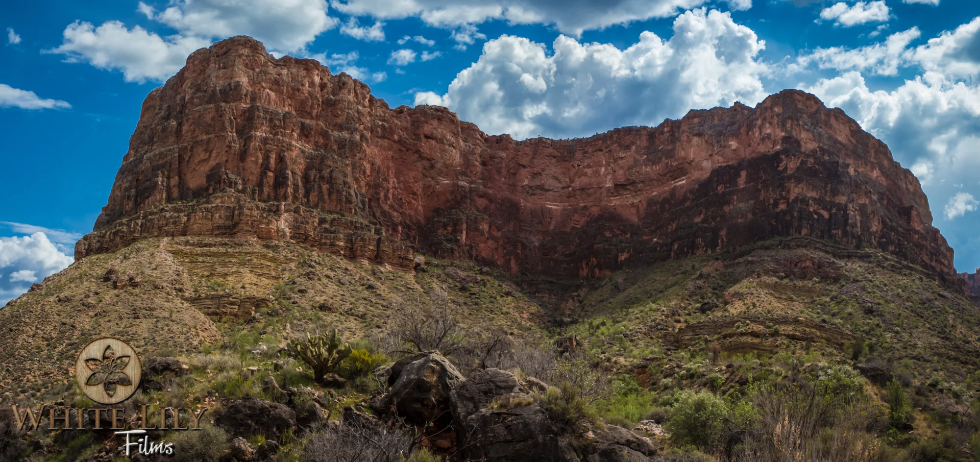 AZGolf_3.20_0098-Edit.jpg