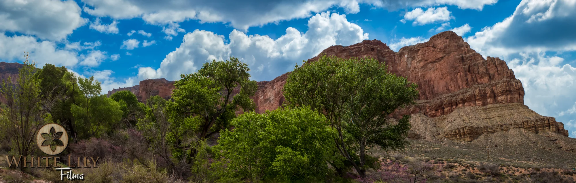 AZGolf_3.20_0100-Edit.jpg