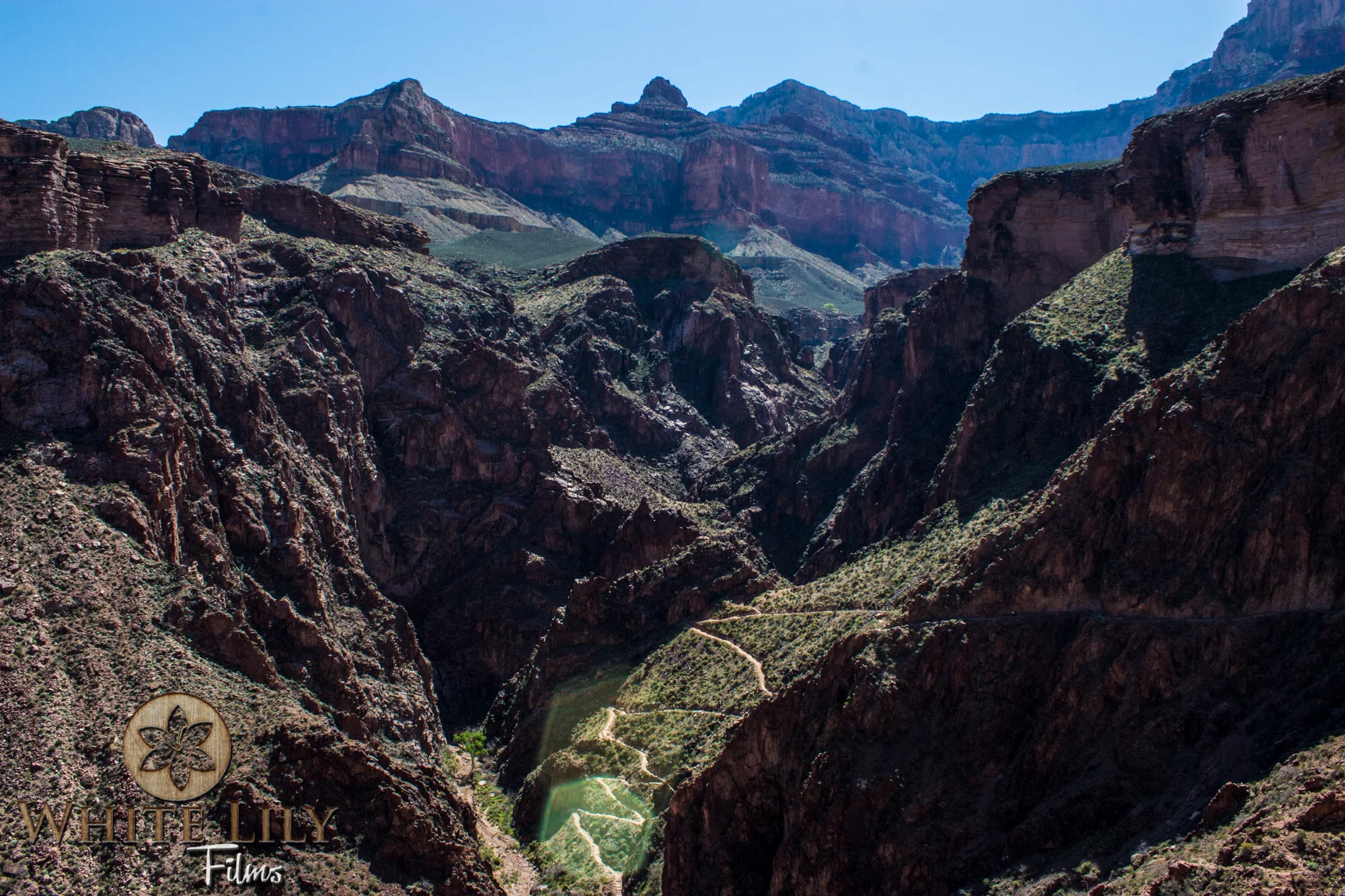 AZGolf_3.20_0367.jpg
