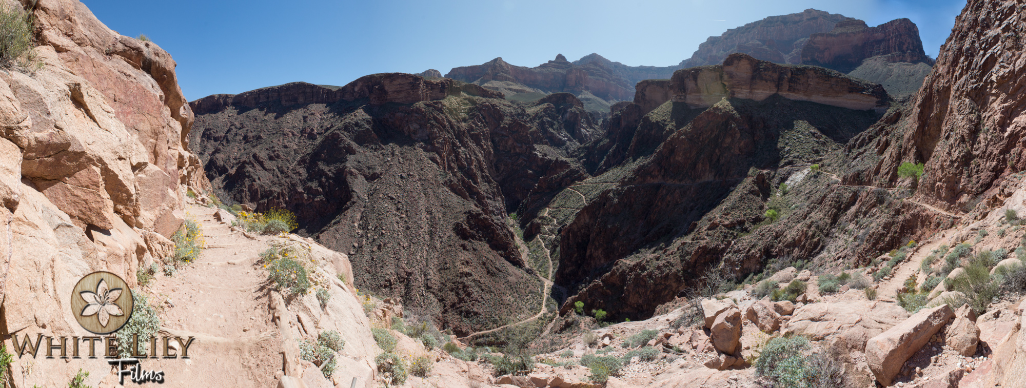 AZGolf_3.20_0370-Edit.jpg