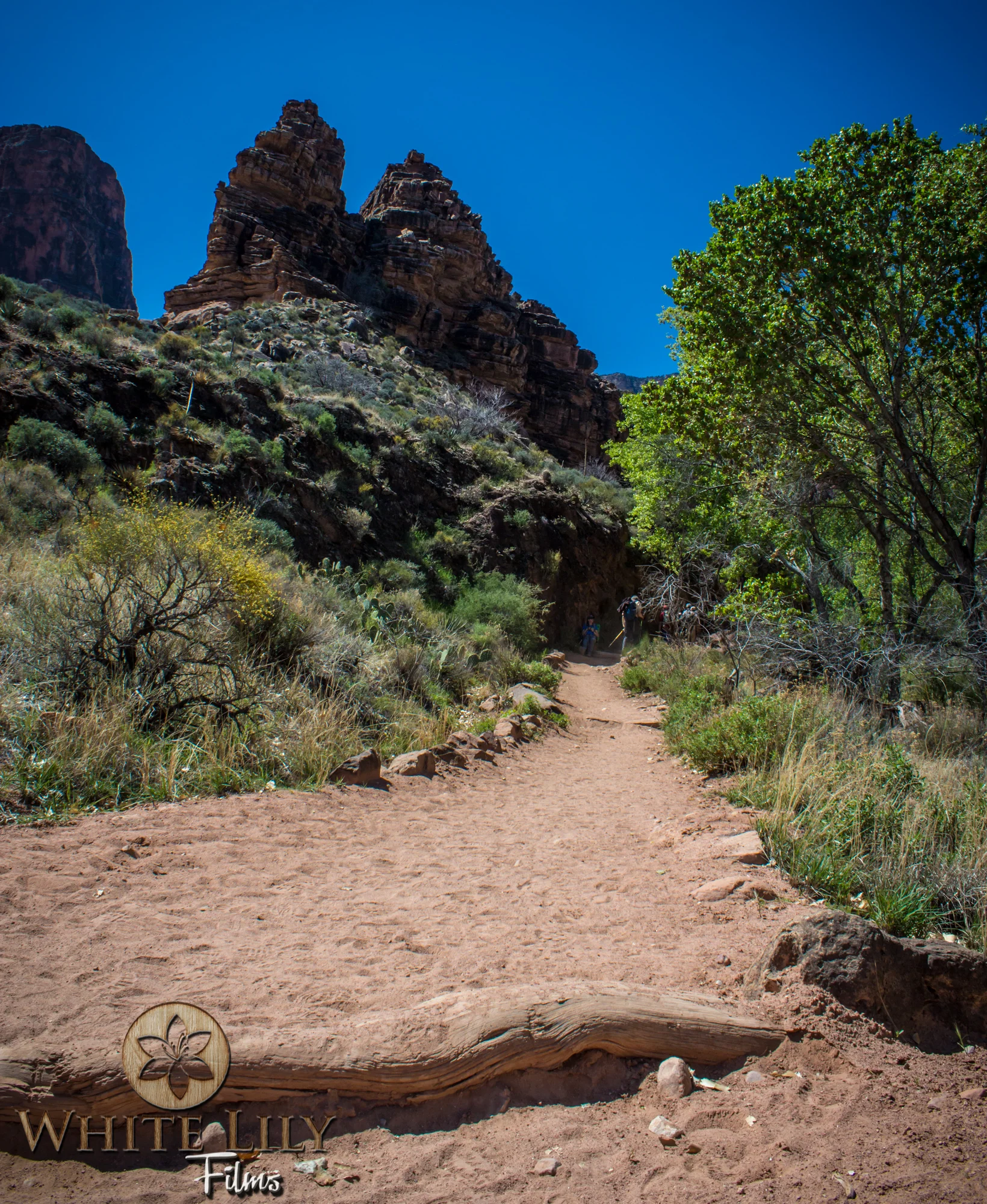 AZGolf_3.20_0402.jpg