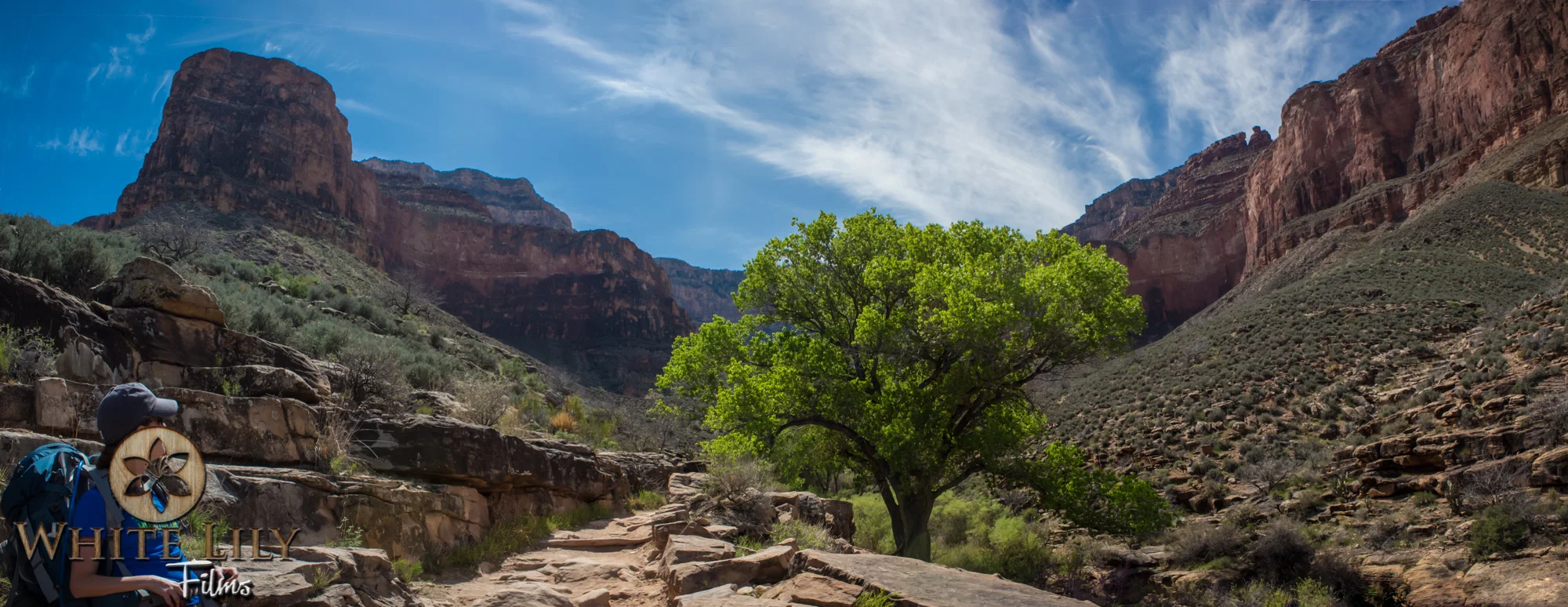 AZGolf_3.20_0444-Edit.jpg