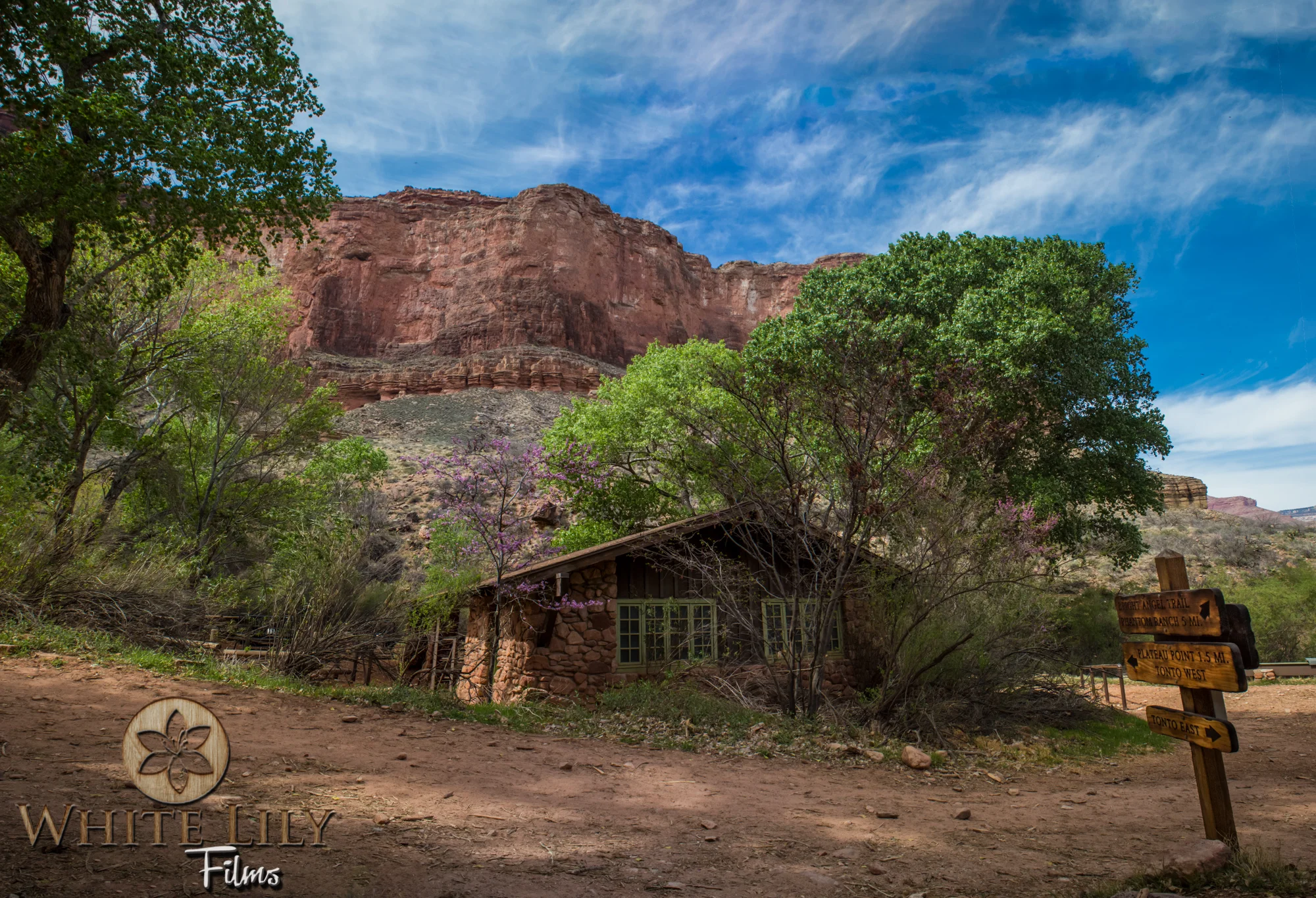 AZGolf_3.20_0454-Edit.jpg