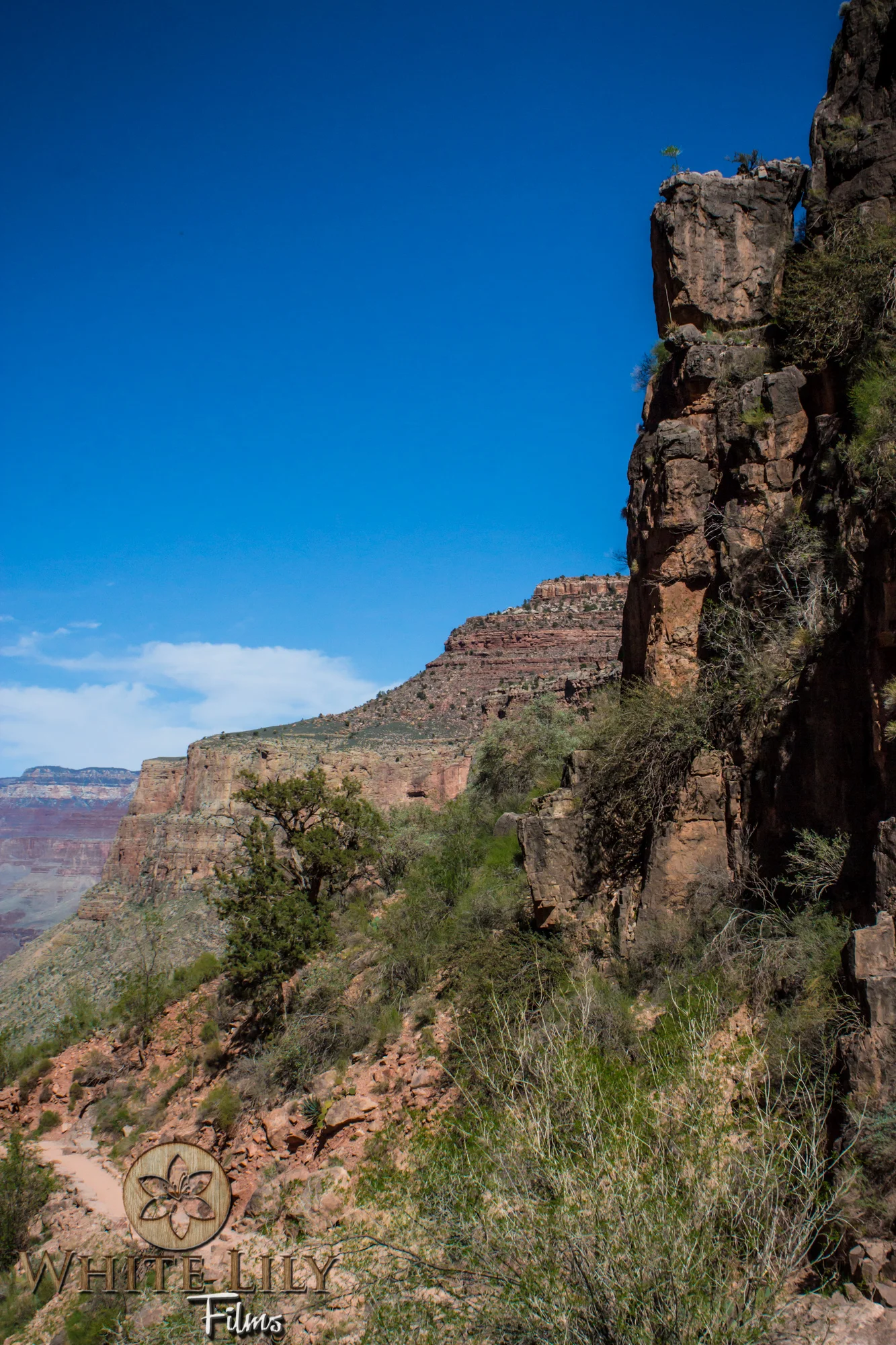 AZGolf_3.20_0461.jpg