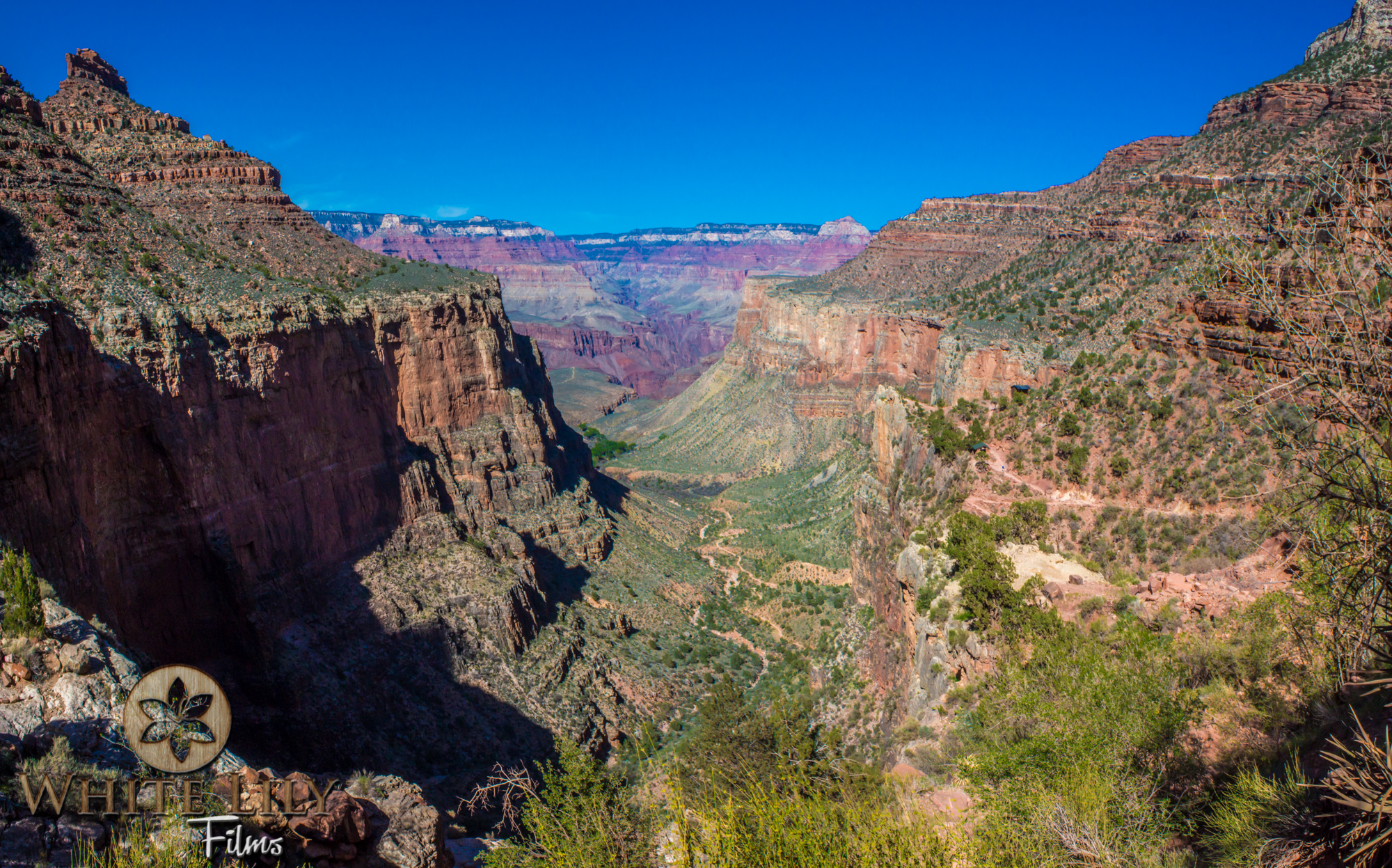 AZGolf_3.20_0465-Edit.jpg