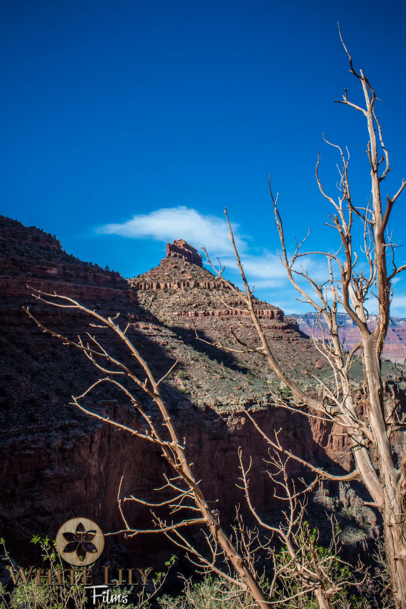 AZGolf_3.20_0470.jpg