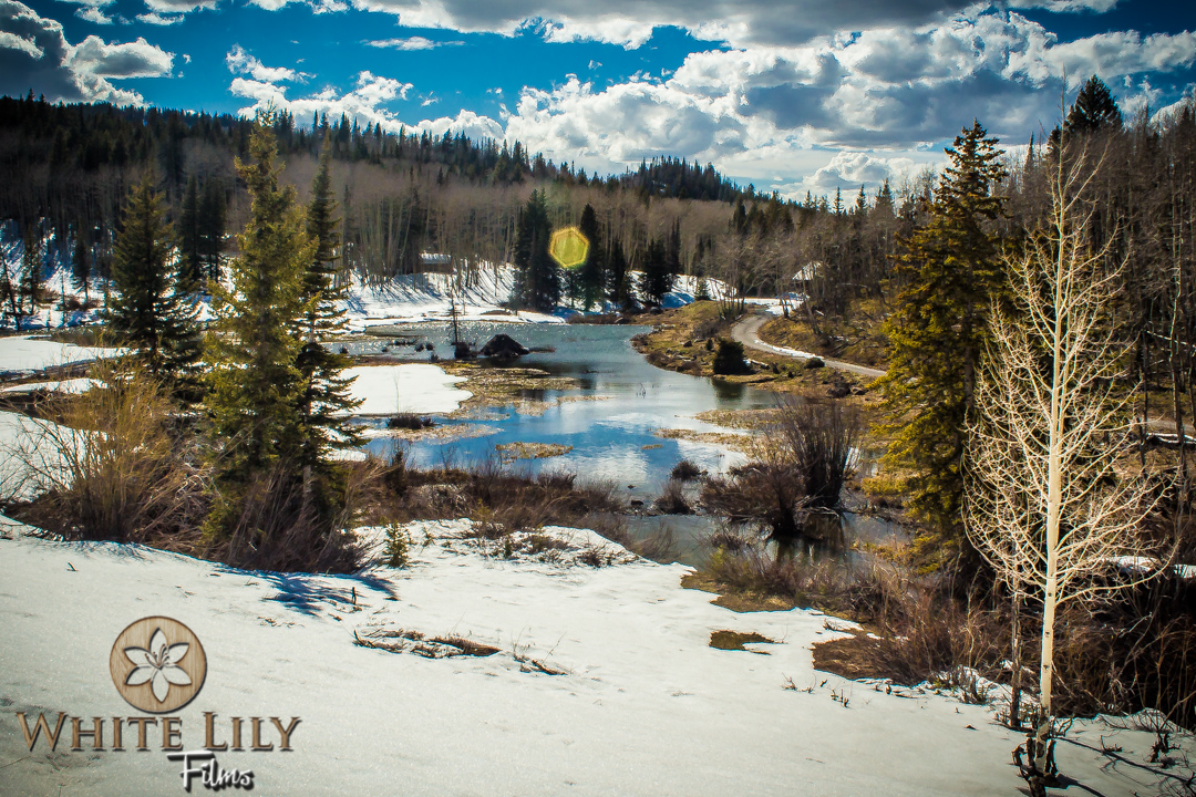 #136 - Spring On The Grand Mesa