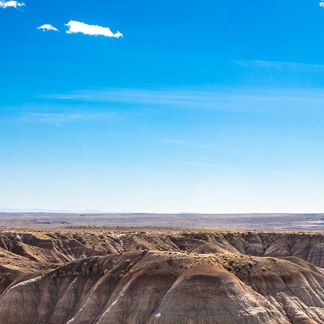 #BlueMesa #PetrifiedForest #NationalPark
&bull;
.
#Grid #InstaGrid #Instagram #Love #NationalGeographic #Nature #Photography #PhotoOfTheDay #Canon #5D #Film #WhiteLilyFilms #Adventure #Travel #InstaPanorama #6Grid #TheViewFromHere #Route66 #AZ #OptOu