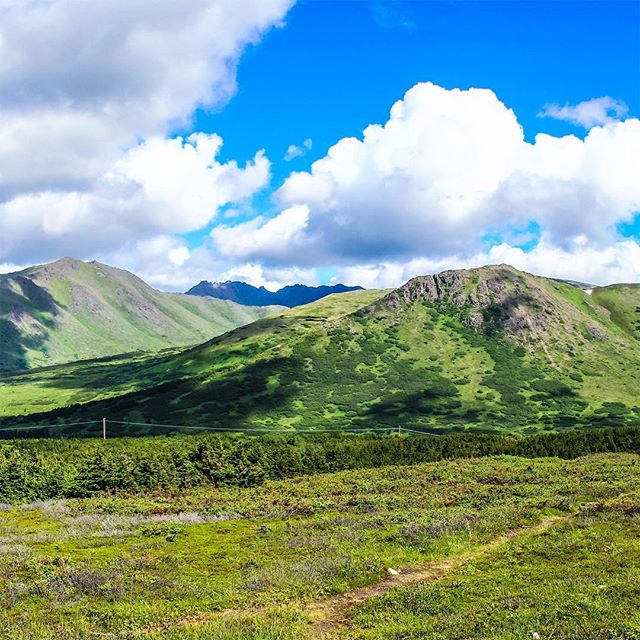 #FlatTop #Mountain #Alaska 
2 of 3
&bull;
.
#InstaGrid #InstaPano #Grid #3Grid #Panoramic #Adventure #Scenic #Beauty #Nature #Fun #Travel #Beauty #WhiteLily #Films #Filmmaker #Canon #Nature #Landscape #WhiteLilyFilms #Photographer #Cinematographer #P