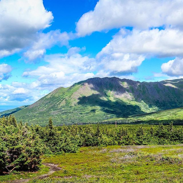 #FlatTop #Mountain #Alaska 
1 of 3
&bull;
.
#InstaGrid #InstaPano #Grid #3Grid #Panoramic #Adventure #Scenic #Beauty #Nature #Fun #Travel #Beauty #WhiteLily #Films #Filmmaker #Canon #Nature #Landscape #WhiteLilyFilms #Photographer #Cinematographer #P