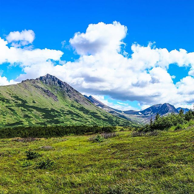 #FlatTop #Mountain #Alaska 
3 of 3
&bull;
.
#InstaGrid #InstaPano #Grid #3Grid #Panoramic #Adventure #Scenic #Beauty #Nature #Fun #Travel #Beauty #WhiteLily #Films #Filmmaker #Canon #Nature #Landscape #WhiteLilyFilms #Photographer #Cinematographer #P