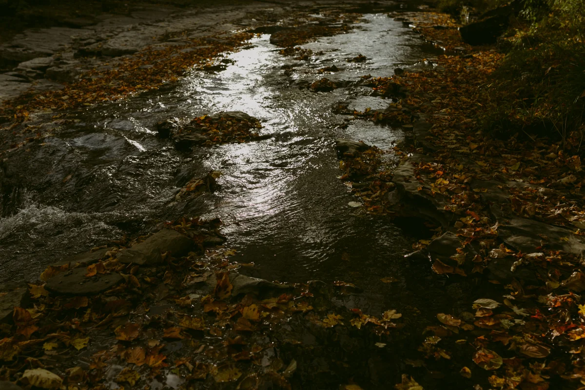 tivoli-ny-wedding-ambergress-0011-.jpg